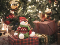 【2024 クリスマスパーティー】アートグレイス大宮　スペシャルランチブッフェ　 大人