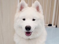 Weekdays: Private plan (50 minutes) ¥25,000