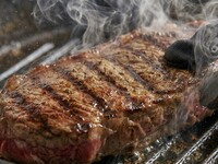 【Savor both meat and pasta!】 KNEADERS Course featuring 6 seasonal appetizers and pastas, plus three types of meat including beef short rib—all accompanied by 120 minutes of unlimited drinks