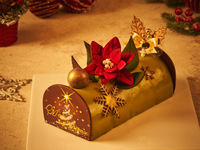 SUI  Étoile de Noël (8㎝×17.5㎝)