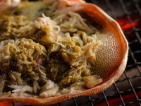 [Winter pole course] 55,000 yen