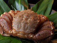 【個室】特選鰻と特大毛蟹のコース(通年)