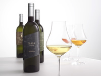 Omakase course with tea pairing