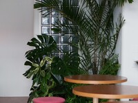 Notice from the store