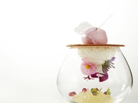 2025 Christmas Dinner Course <with wine pairing>