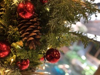 ≪12/20ｰ25限定≫【ダイニング】X’mas会席..。+*★。