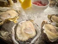 クリスマス限定コース（生牡蠣10ピースコース）