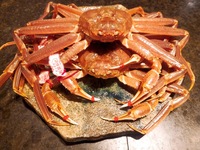 【12月】松葉蟹とシャトーブリアンのコース　60,000円