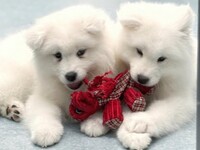 <Weekdays> Regular ticket (50 minutes)