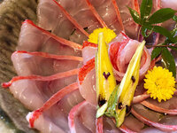 [In-store seating] Aged golden eye snapper special course, 8 dishes total