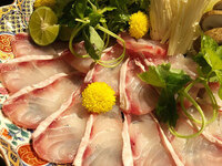 [In-store seating available] Wild Longtooth Grouper special course, 9 dishes total