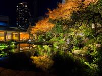 [Special Price (Dinner)] Yu Kaiseki + Free Flow 24,000 yen