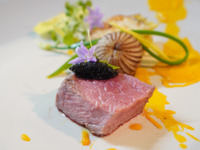 Innovation Vermillionコース（全8品）