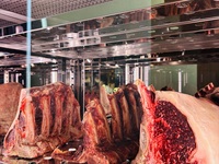 sio Aoyama Lunch Short Course【メイン和牛】