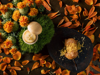 LOQUAT《スタンダード》 ディナーコース （夜）