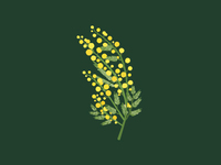 [Event] Mimosa Day / Seat reservation only