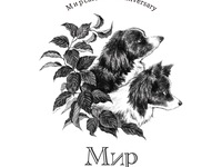 10周年鉄板粗挽ハンバーグ&ナポリタン　パンorライス付き