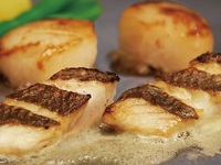 瀬戸内ディナー［ 特選和牛 ］