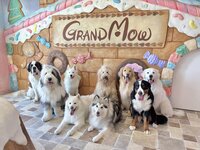 【土日祝】パーティービュッフェ＆ふれあいプラン