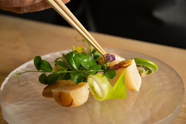 【20AW】AUBERGE｜Torrent for WAGAMAMA TOKYO 20AW】AUBERGE｜Torrent for WAGAMAMA TOKYO