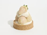 【テイクアウト】ホワイトストロベリータルト(8cm)