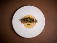 Dinner Tasting Menu + Non-Alcoholic Pairing