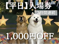 Billet d'entrée (en semaine)