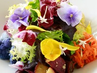 【テイクアウト】神奈川県契約農家のガーデンサラダ(ハーフサイズ)