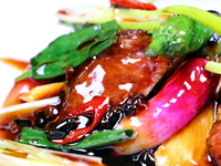 [Dinner] [Koyoku Course] 8 dishes including braised Kesennuma shark fin, Hokkaido abalone, A5-grade Wagyu beef, and our special shrimp wonton and Hong Kong noodles. ★Course + 3 hours of all-you-can-drink ◆Private room guaranteed◆