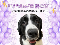 初めての人も大歓迎！💖ぴぴバースデーイベント💖