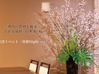 夜桜Night-ナイト-