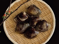 【個室】おまかせコース「春の代官」　握り8~10貫／料理4品ほど（春の貝類・桜海老・ホタルイカなど）