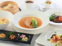 [Lunch] [Cantonese Course] Authentic Cantonese Course (8 dishes total) including braised Kesennuma shark fin and two kinds of Hong Kong steamed dim sum + 2 drinks + cafe ★Private room guaranteed★