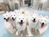 Weekdays: Private plan (50 minutes) ¥25,000