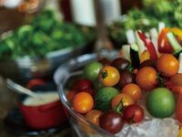 【平日：アルコールフリー90分制】選べるメイン＆前菜・サラダ・デザート等ランチビュッフェ＋25種のフリードリンク