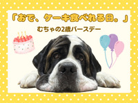 Admission ticket (Saturdays, Sundays, and hdays)