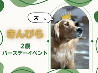 Admission ticket (Saturdays, Sundays, and hdays)