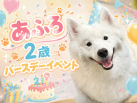 初めての人も大歓迎！💖あふろバースデーイベント💖