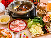 Party plan (special)