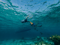 【Hotel Guest】Beach Snorkel tour 90min Adult/Child (season A）_2026 1/1-3/19, 4/6-4/24, 5/11-6/30, 10/1-12/31