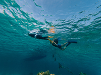 【ビジター】ビーチシュノーケルツアー 大人 /小人90min_2026　A期間　1/1-3/19, 4/6-4/24, 5/11-6/30, 10/1-12/31