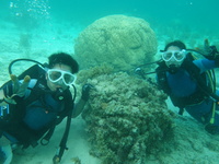 [Stay Guest]Diving Experience, 90 minutesA期間　3/1-4/25,5/7-6/30,10/1-2/28