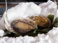 ワンドリンク+プチギフト付き　鉄板鮑ランチコース￥22000