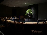 Domestic sheep and overseas sheep - Comparison full course