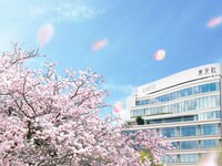 株主様専用◆3/23-4/3平日限定＜春の彩りランチ＞上野の桜を一望しながら優雅なお花見を！
