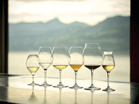 自然 - Jinen Dinner Course - 【メイン隠岐牛サーロイン】+Entôペアリング