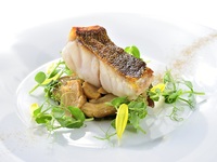 【공식 최저가 보증】 온라인 예약 한정 안단테 런치 코스 【창 측석】평일 한정 건배 스파클링 와인 포함 ￥11,300→￥7,480