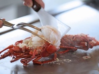 【鉄板焼】ディナー暮雪～BOSETSU～