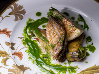 スペシャルランチコース