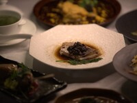 【飛燕　ひえん】ソフトシェルと旬桜鯛のおすすめコース。2名様より承ります。3月1日より受付中です。